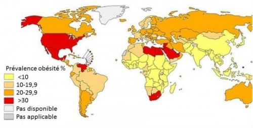 obésité dans le monde hsph 2013-2