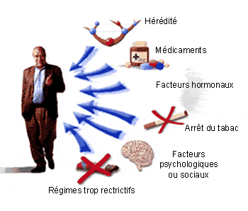 Obésité : pourquoi prend-on du poids ?