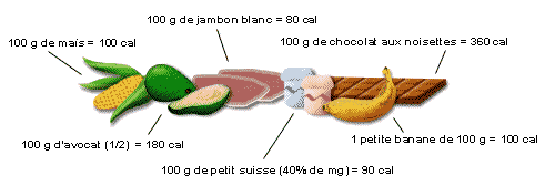 Densité calorique