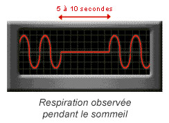 Respiration observée pendant le sommeil