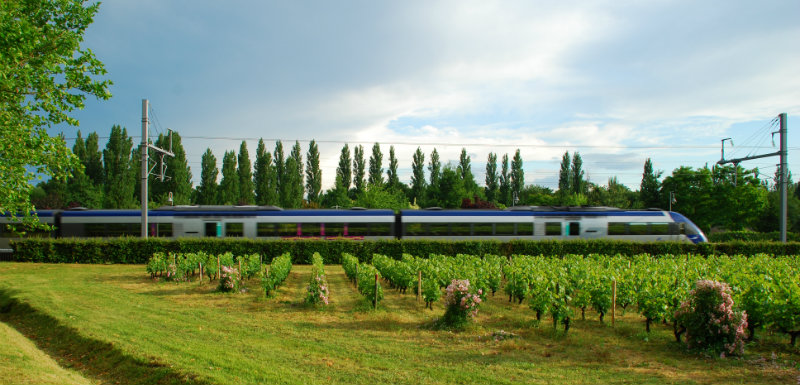 Le train saveurs et santé