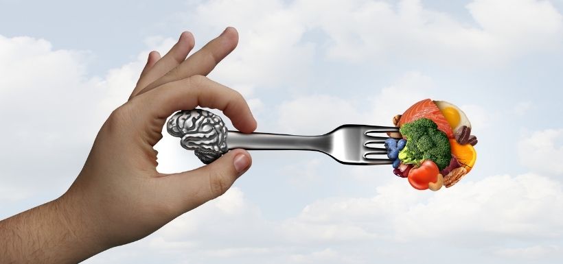 Une nouvelle cible dans le cervelet pour réguler la faim ?